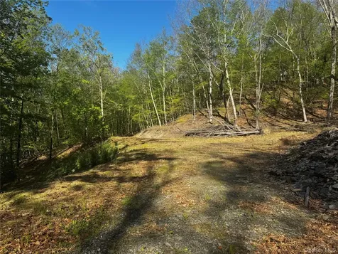 Hall Hill Road Ancram NY 12502