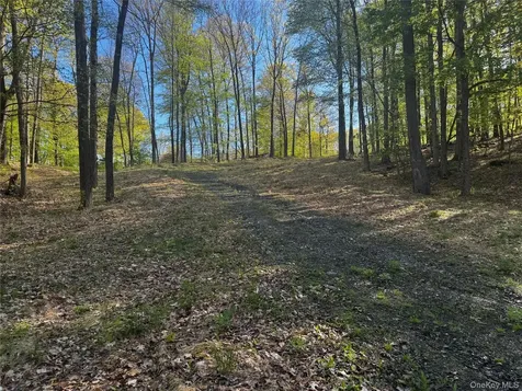 Hall Hill Road Ancram NY 12502