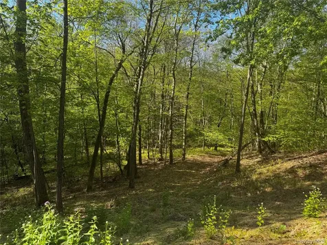 Hall Hill Road Ancram NY 12502