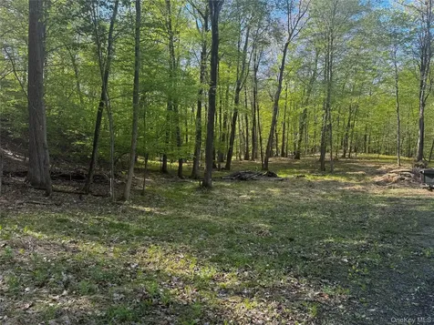 Hall Hill Road Ancram NY 12502