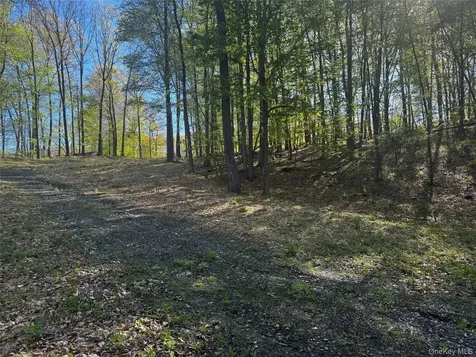 Hall Hill Road Ancram NY 12502