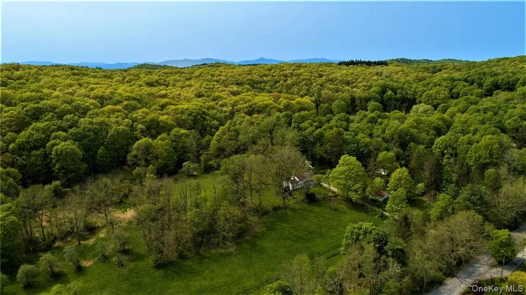 303 Hicks Hill Road Stanfordville NY 12582