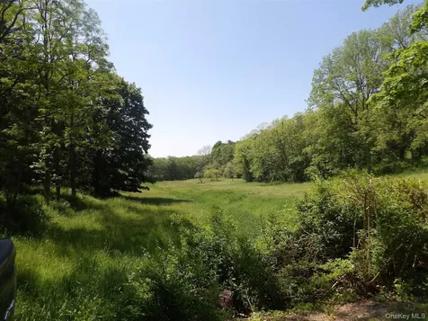 303 Hicks Hill Road Stanfordville NY 12582