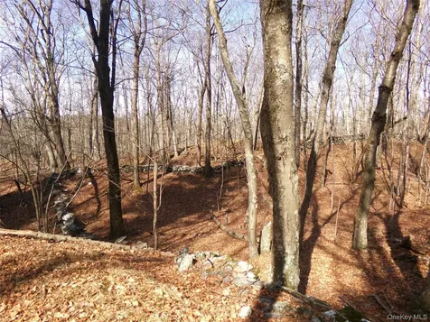 303 Hicks Hill Road Stanfordville NY 12582