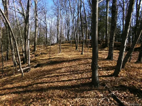 303 Hicks Hill Road Stanfordville NY 12582
