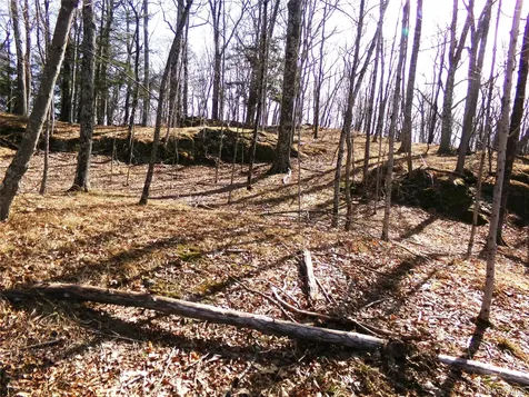 303 Hicks Hill Road Stanfordville NY 12582