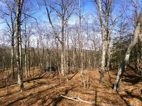 303 Hicks Hill Road Stanfordville NY 12582