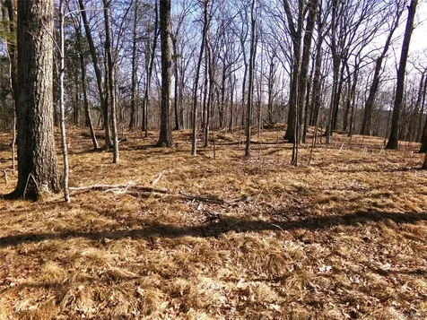 303 Hicks Hill Road Stanfordville NY 12582
