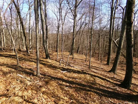 303 Hicks Hill Road Stanfordville NY 12582