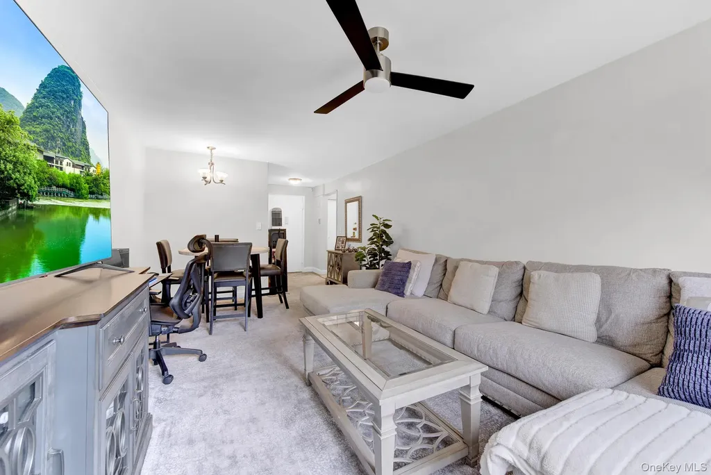 3 Birchwood Court Mineola NY 11501