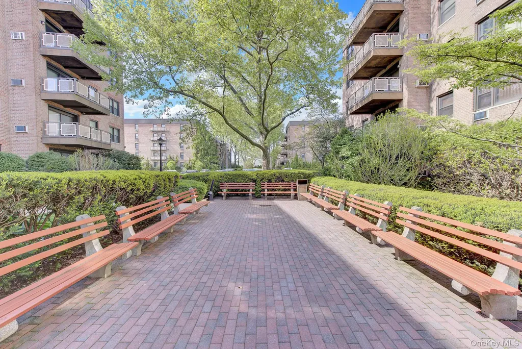 3 Birchwood Court Mineola NY 11501