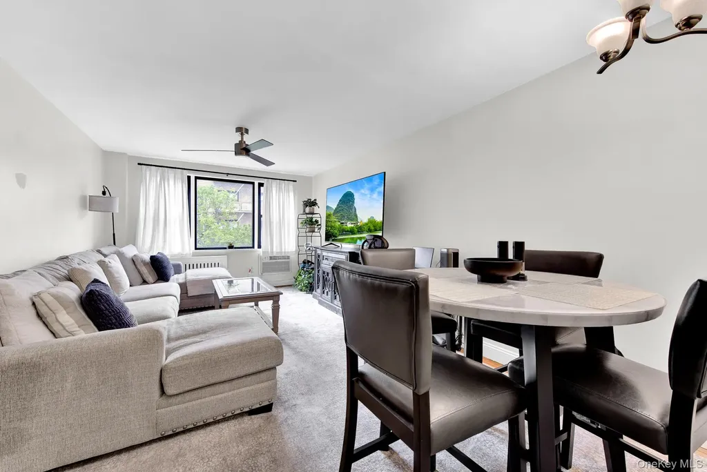 3 Birchwood Court Mineola NY 11501