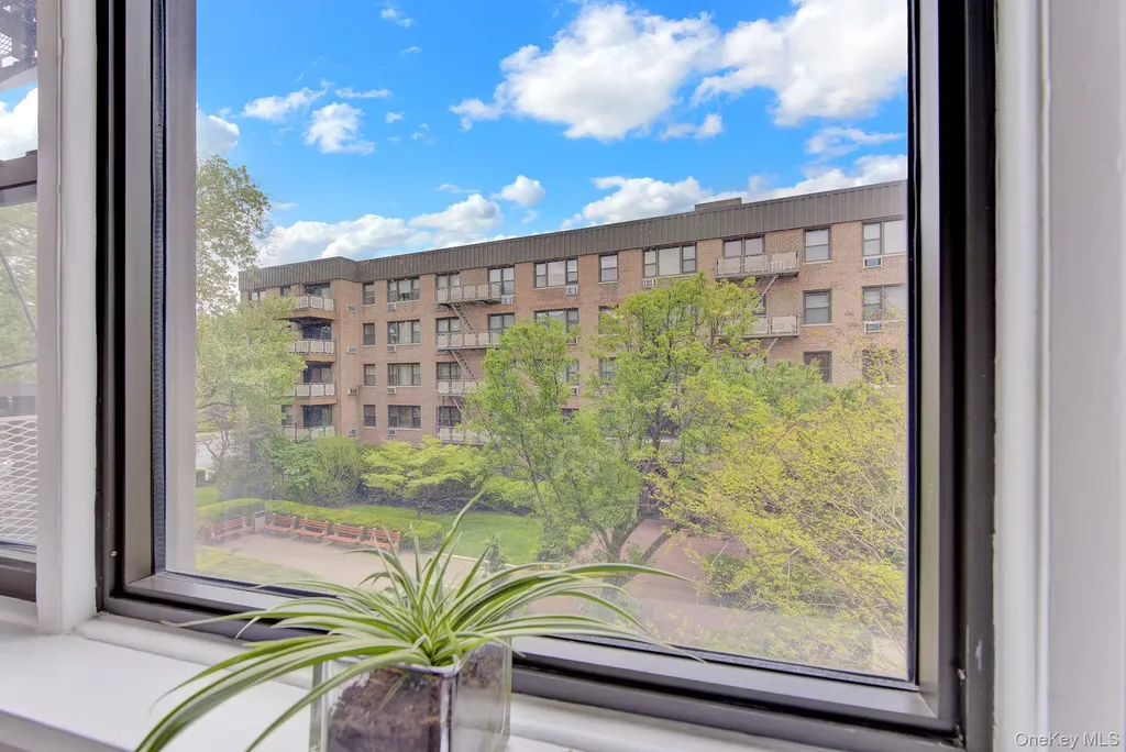 3 Birchwood Court Mineola NY 11501