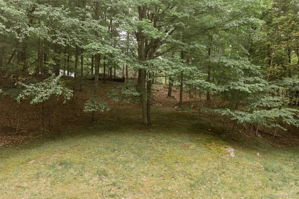 91 W Corbett Road Montgomery NY 12549