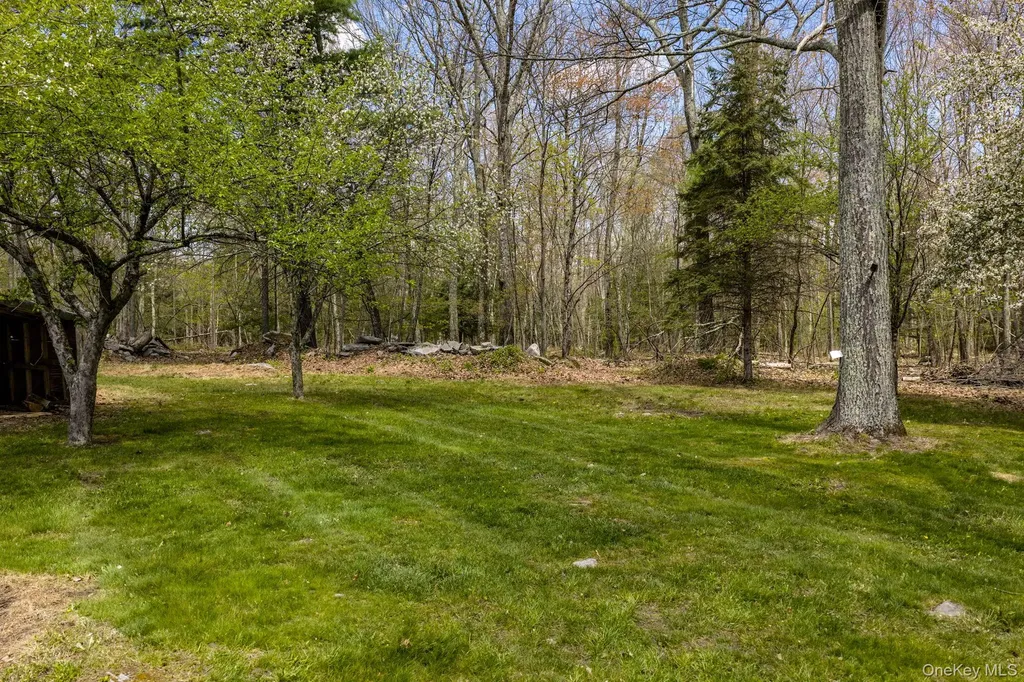 88 W Peenpack Trail Sparrowbush NY 12780
