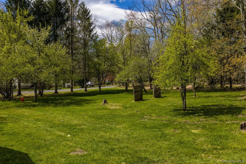 88 W Peenpack Trail Sparrowbush NY 12780