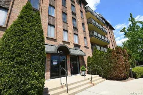 175 Maple Avenue Westbury NY 11590