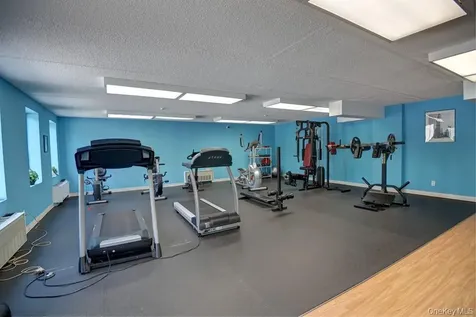 175 Maple Avenue Westbury NY 11590