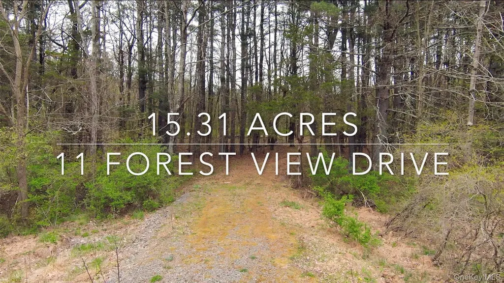11 Forest View Drive Catskill NY 12414