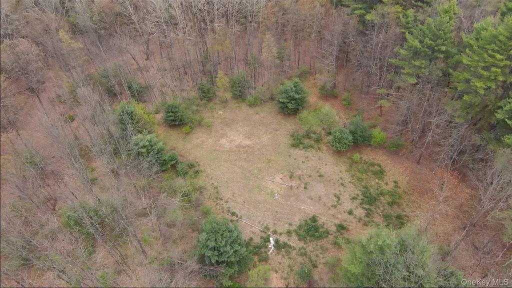 11 Forest View Drive Catskill NY 12414