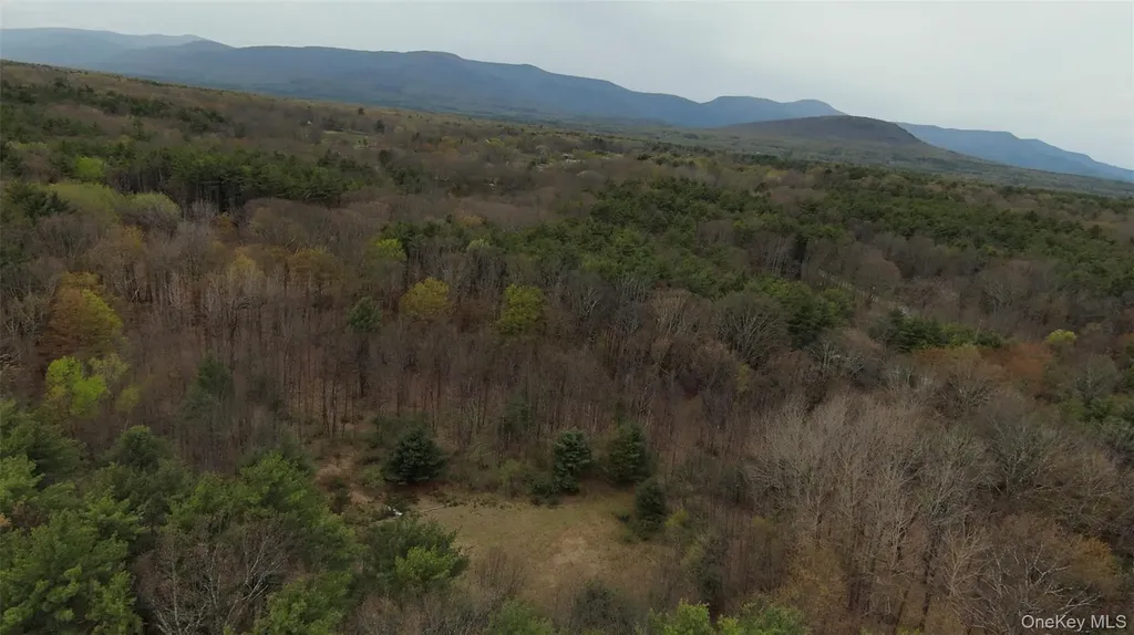 11 Forest View Drive Catskill NY 12414