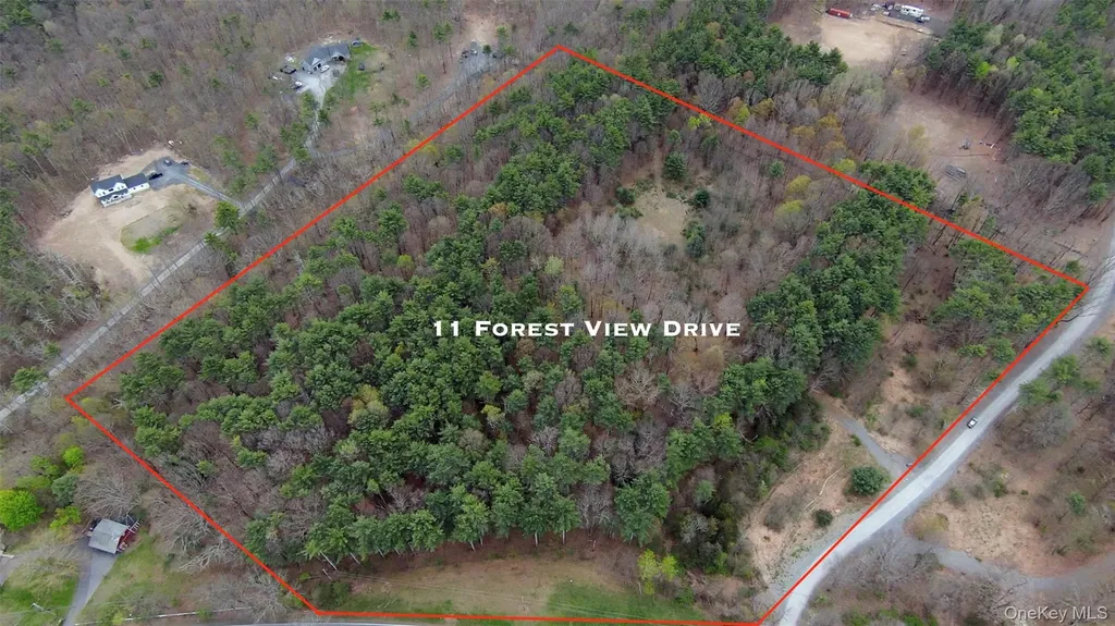 11 Forest View Drive Catskill NY 12414