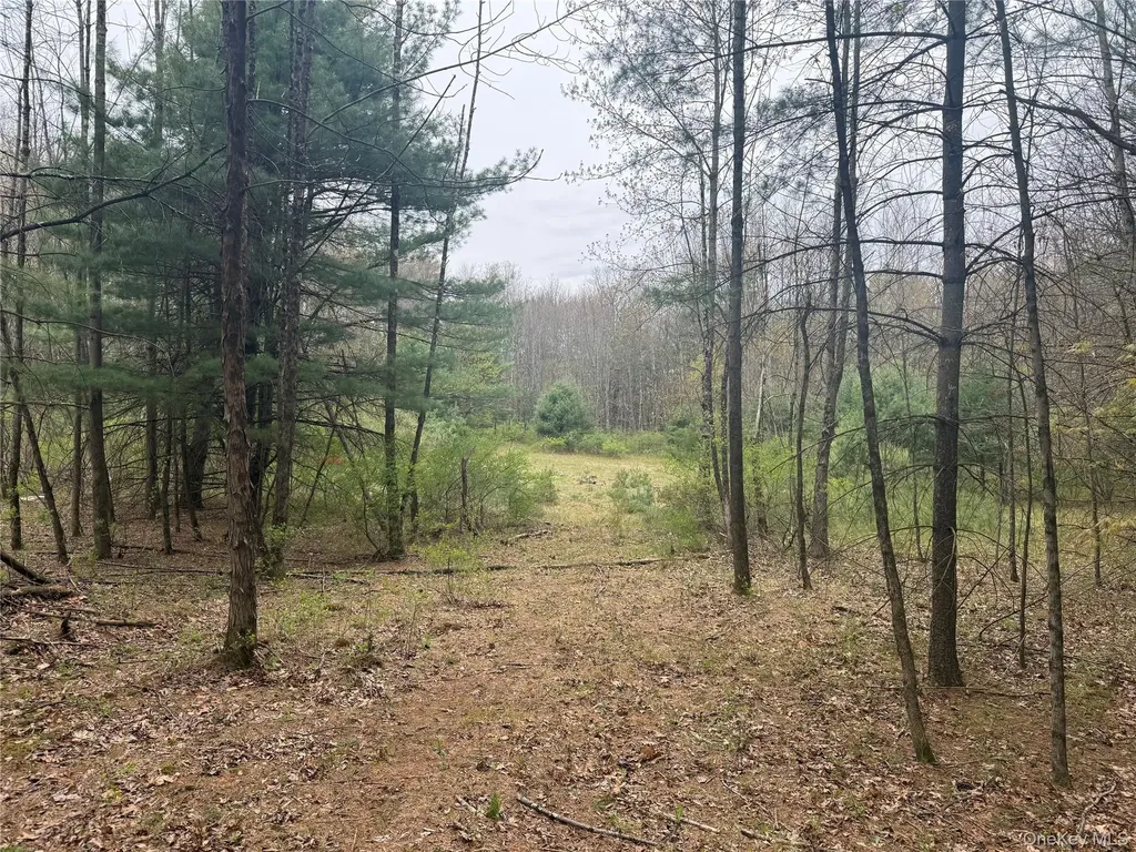 11 Forest View Drive Catskill NY 12414