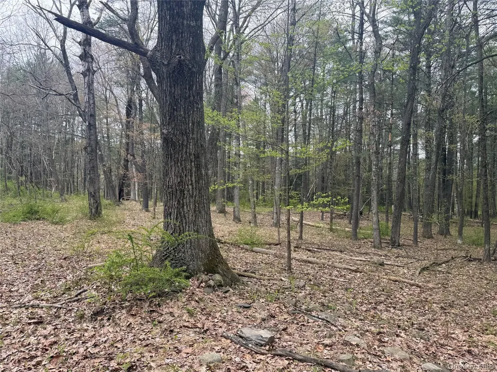 11 Forest View Drive Catskill NY 12414