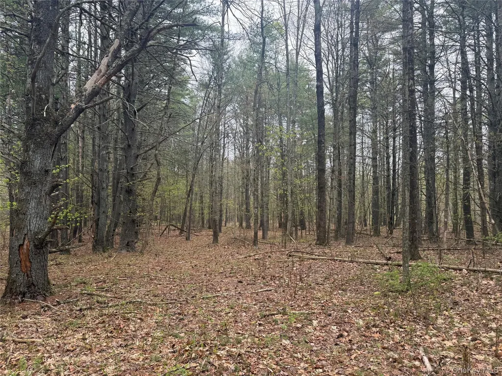 11 Forest View Drive Catskill NY 12414