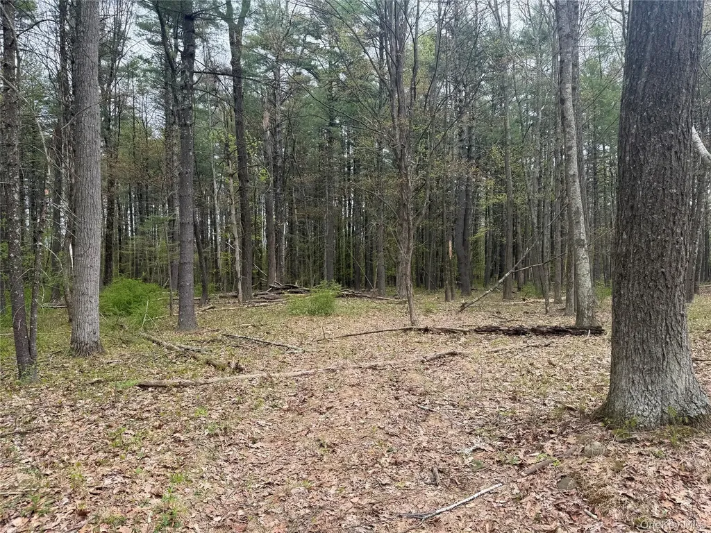 11 Forest View Drive Catskill NY 12414