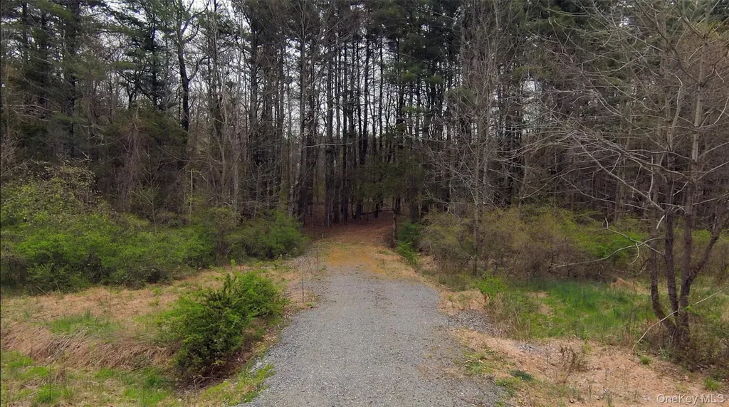11 Forest View Drive Catskill NY 12414