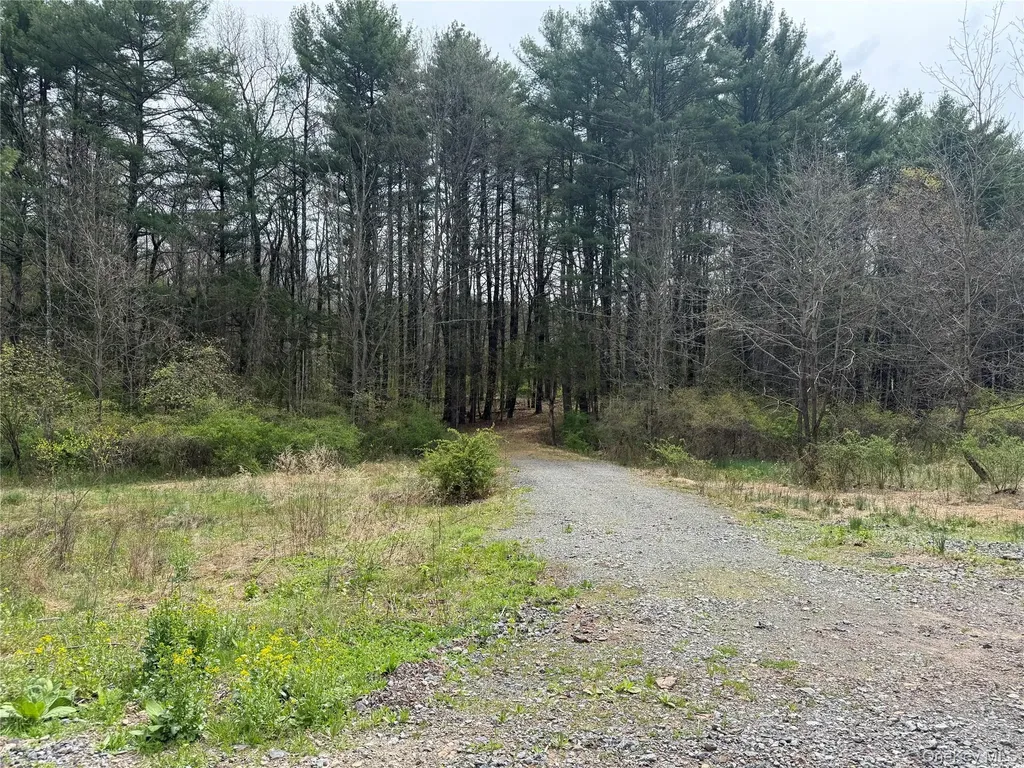 11 Forest View Drive Catskill NY 12414