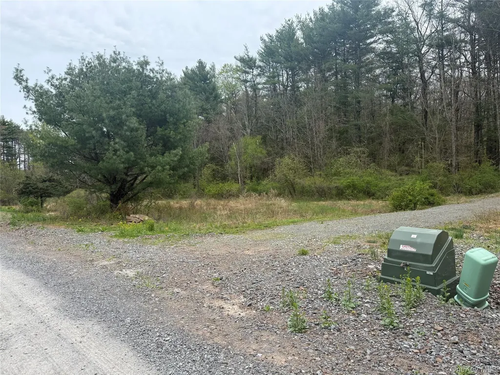 11 Forest View Drive Catskill NY 12414