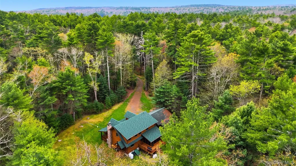 924 Forestburgh Road Glen Spey NY 12737