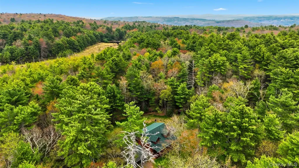924 Forestburgh Road Glen Spey NY 12737