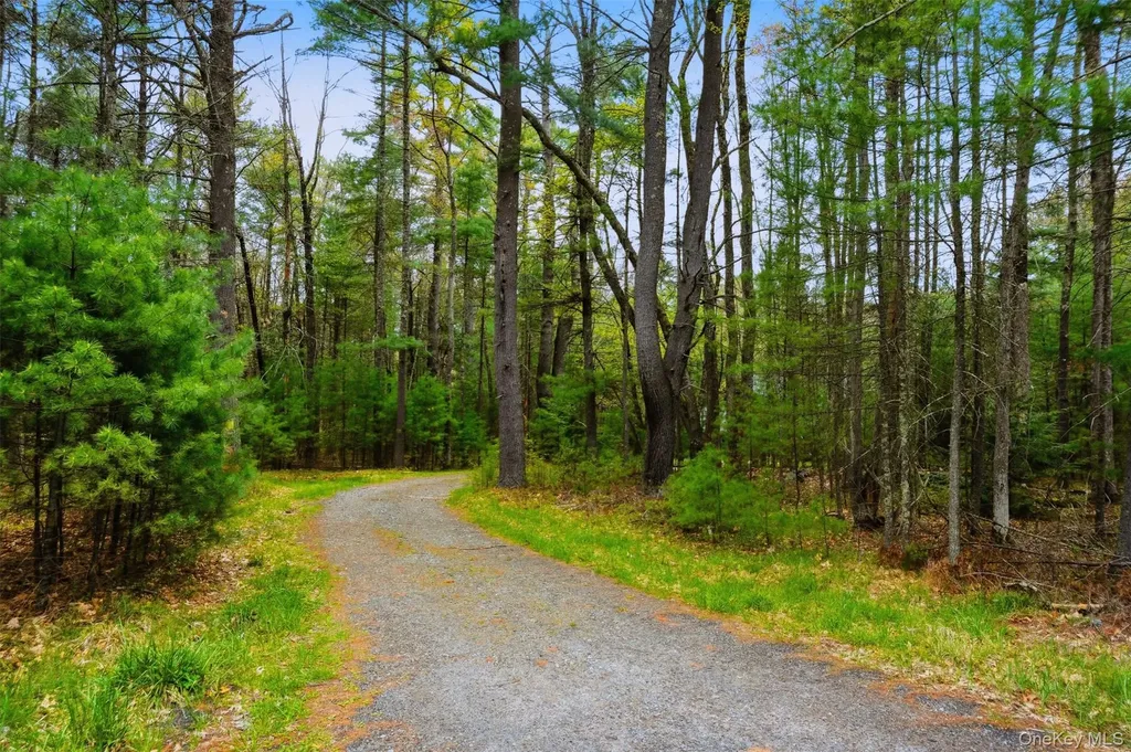 924 Forestburgh Road Glen Spey NY 12737
