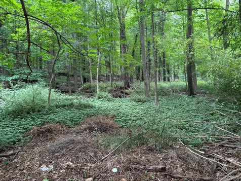 163 Green Lane Bedford Hills NY 10507
