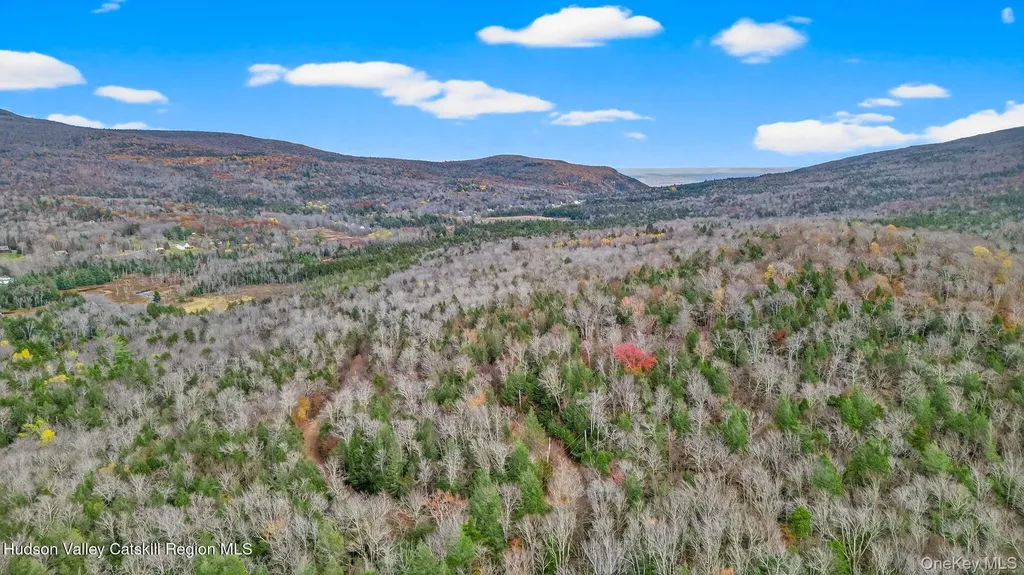 8 Corfu Road Hunter NY 12427