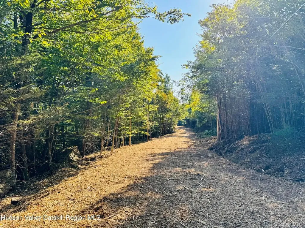 8 Corfu Road Hunter NY 12427