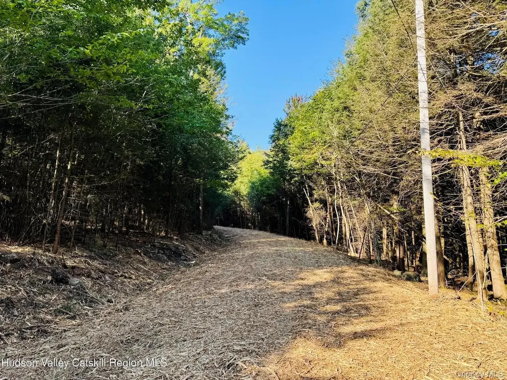 8 Corfu Road Hunter NY 12427