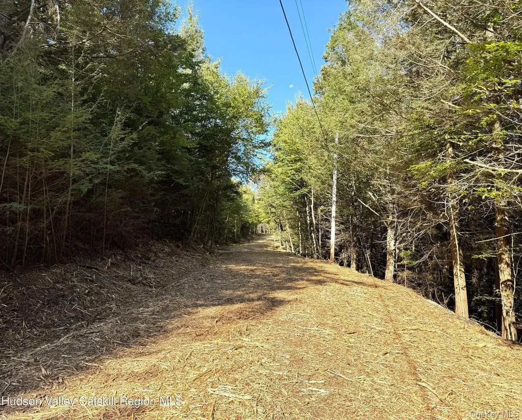 8 Corfu Road Hunter NY 12427