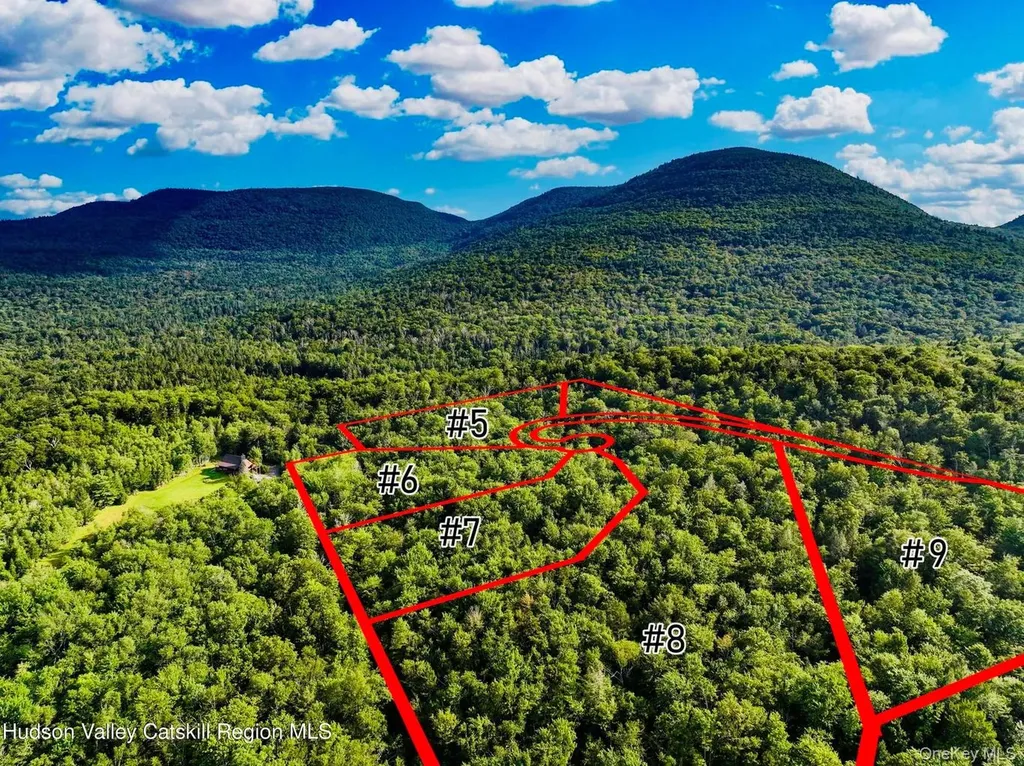 8 Corfu Road Hunter NY 12427