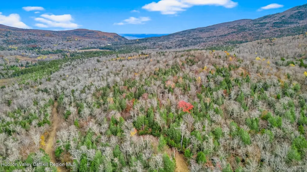 8 Corfu Road Hunter NY 12427