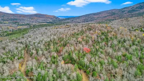 8 Corfu Road Hunter NY 12427