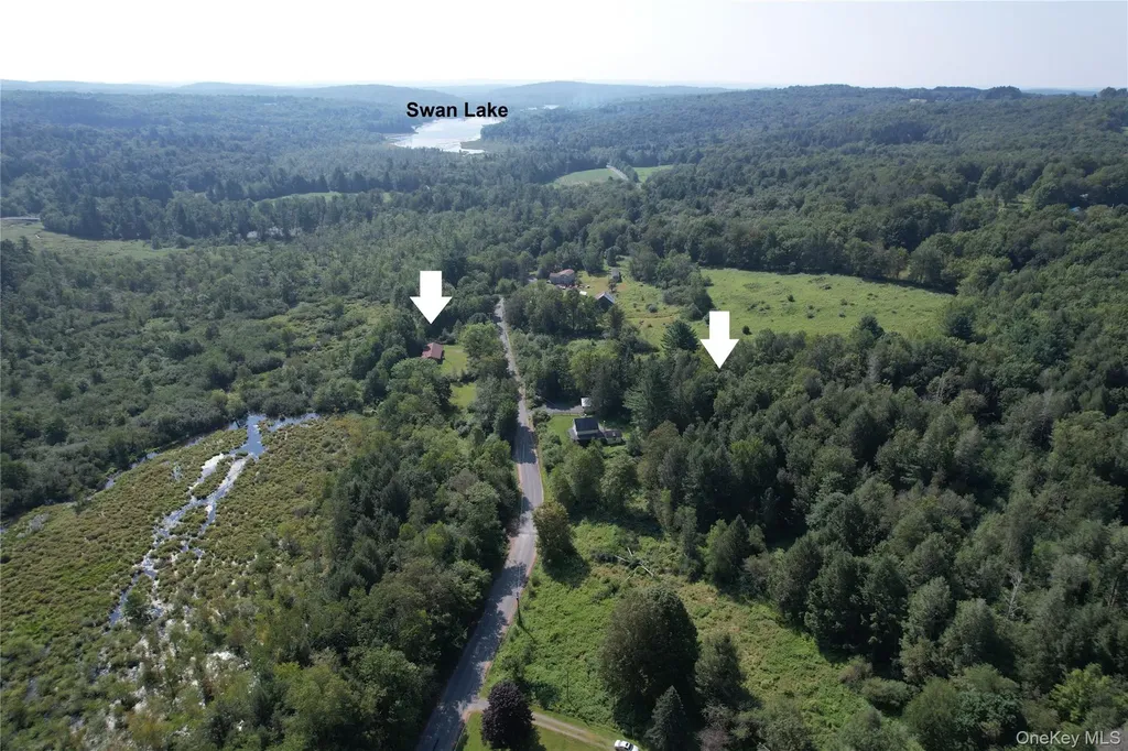 153 Shore Road White Sulphur Spring NY 12787