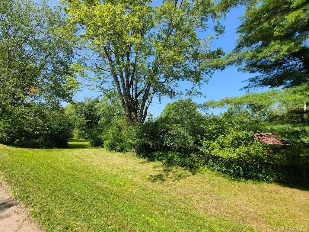153 Shore Road White Sulphur Spring NY 12787