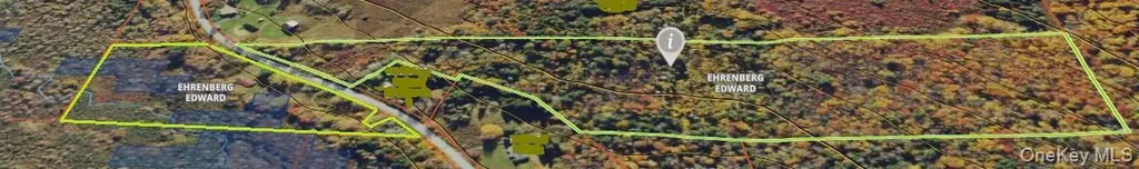 153 Shore Road White Sulphur Spring NY 12787