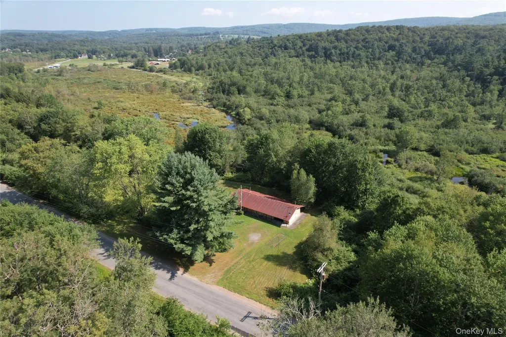 153 Shore Road White Sulphur Spring NY 12787