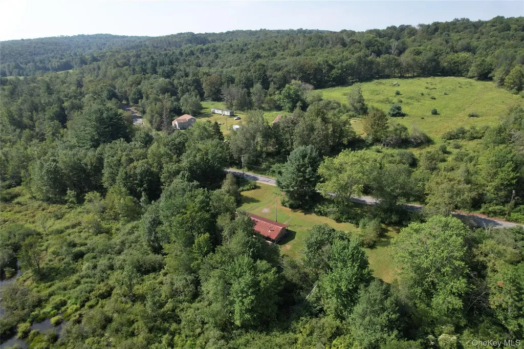 153 Shore Road White Sulphur Spring NY 12787