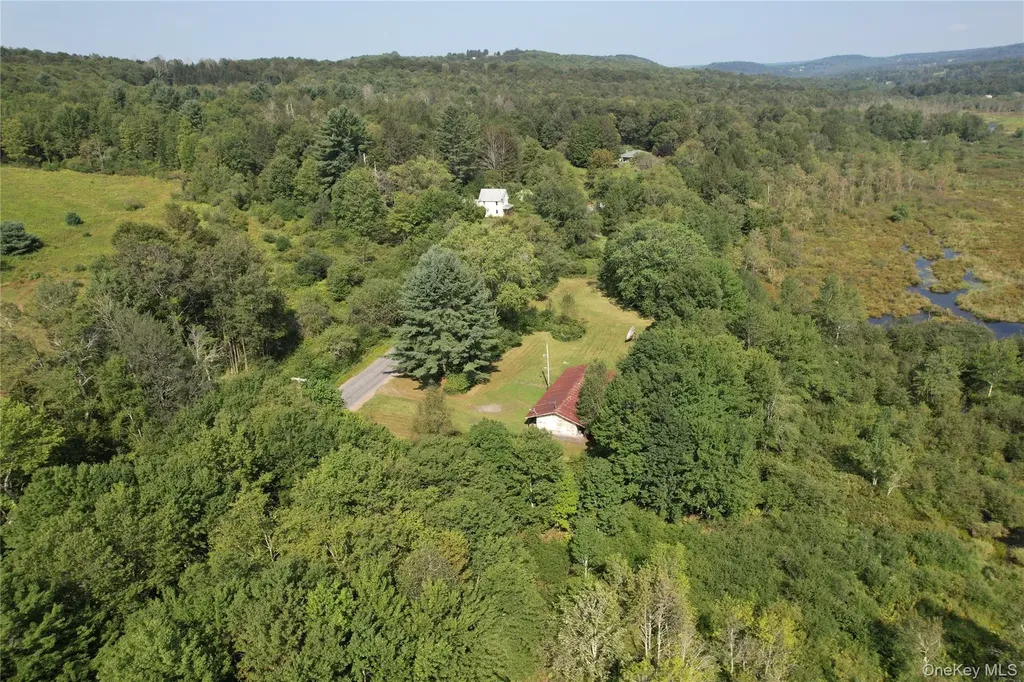 153 Shore Road White Sulphur Spring NY 12787